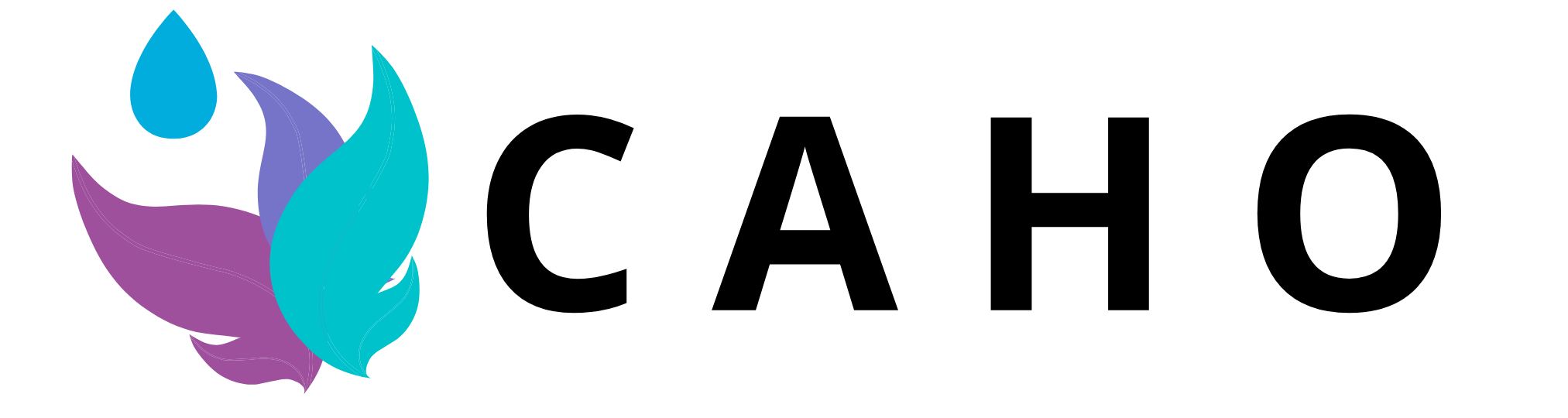 CAHO AI Assistant